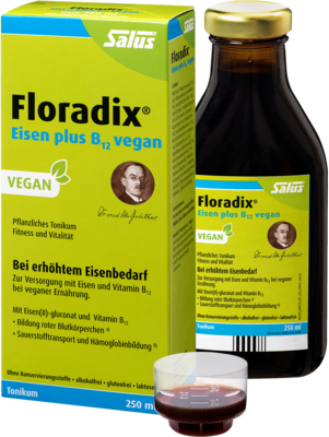 FLORADIX Eisen plus B12 vegan Tonikum