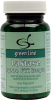 LAKTASE 4.000 FCC Enzym Kapseln