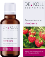 GEMMO Mazerat Himbeere Dr.Koll Rubus idaeus Tropf.